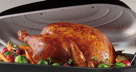 Oster® Roaster Oven - Thanksgiving | Turkey recipes thanksgiving ...