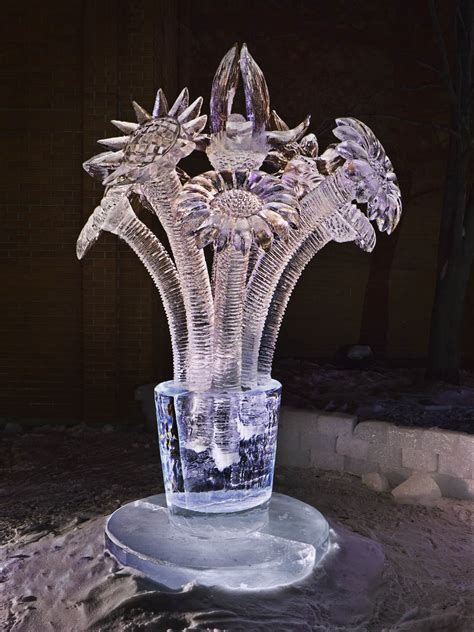 Jim Cox Photos: Ice on Whyte Sculptures Flowers