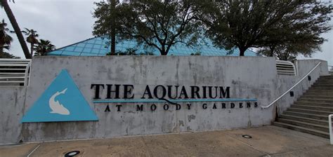 Travel: The Aquarium at Moody Gardens, Galveston TX