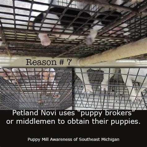 Puppy Mill Awareness Southeast Michigan: Top Ten Reasons Why Petland Is Michigan's Worst Pet Store