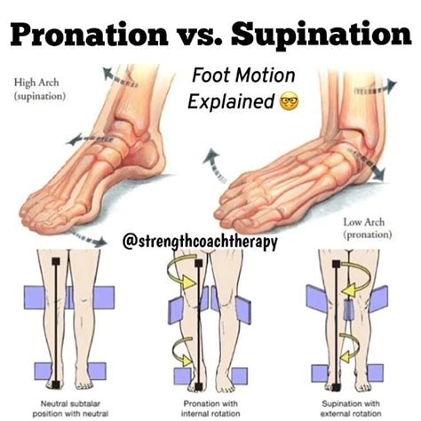 Thomas Nummedal on Instagram: “👣Pronation and Supination 👣(by @strengthcoachtherapy) — 🐝Are flat ...