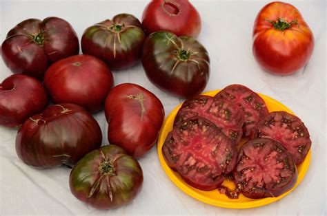 'Black Krim' Tomatoes | Seed saving, Seeds, Growing food