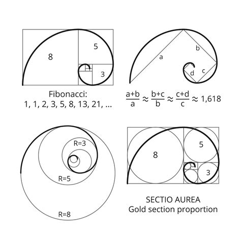 What Is the Fibonacci Sequence? | Fibonacci sequence art, Fibonacci art