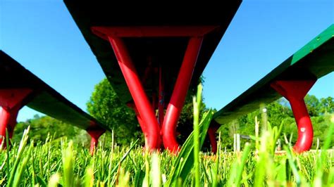 Ants Eye View Photograph by Cyryn Fyrcyd | Fine Art America