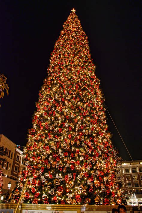 Americana Christmas Tree Glendale, California | 100-foot, fi… | Flickr