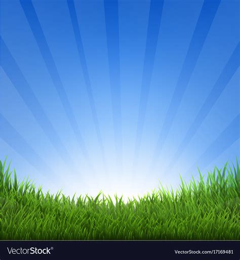 Grass and sky Royalty Free Vector Image - VectorStock