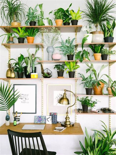 Estanterías decoradas con plantas | Decoração, Ideias para interiores ...