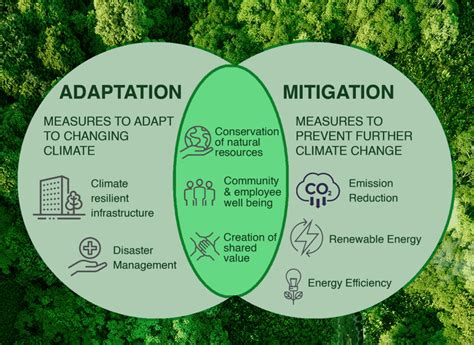 Climate change Adaptation or Mitigation? What should businesses focus on? - Horizon Pulp & Paper ...