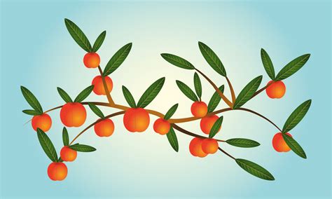 Branches Of Peach Tree 178499 Vector Art at Vecteezy