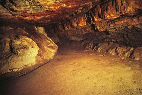 Cave painters may have been inspired by hallucinations