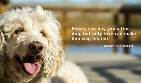 100 of the Best Dog Quotes - Puppy Leaks