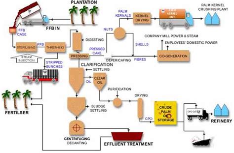 Crude Palm Oil Processing Plant for Sale at Competitive Prices