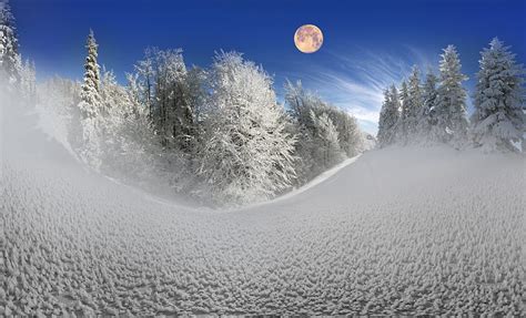 Winter, moon, snow, nature, winter time, sky, landscape, HD wallpaper ...