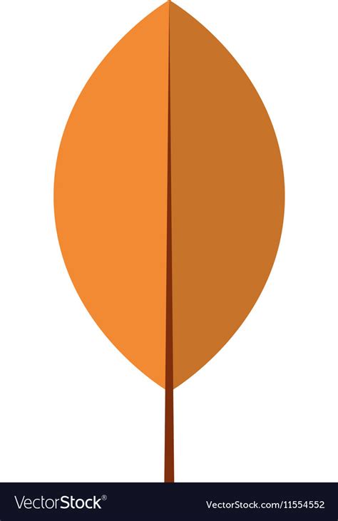 Leaf autumn season design Royalty Free Vector Image