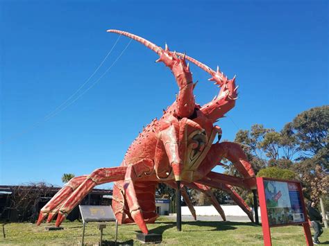 The Big Lobster - Restaurant & Menu Kingston SE, South Australia