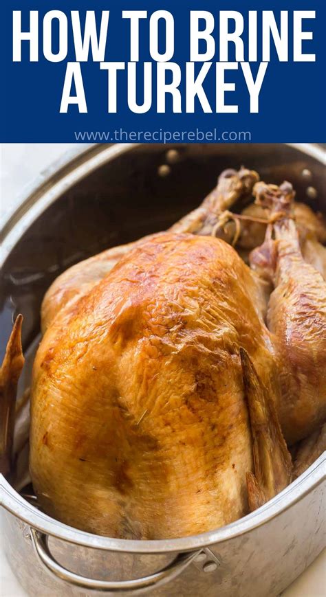 Easy Turkey Brine recipe - 10-Minute Prep! The Recipe Rebel