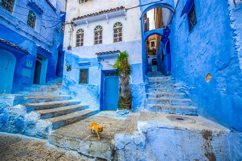 Four ways to explore Chefchaouen, Morocco's blue city – Lonely Planet