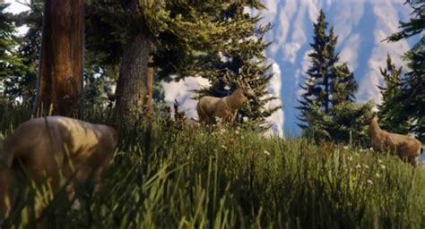 GTA V Wildlife Photography Challenge Guide - All Animal Locations