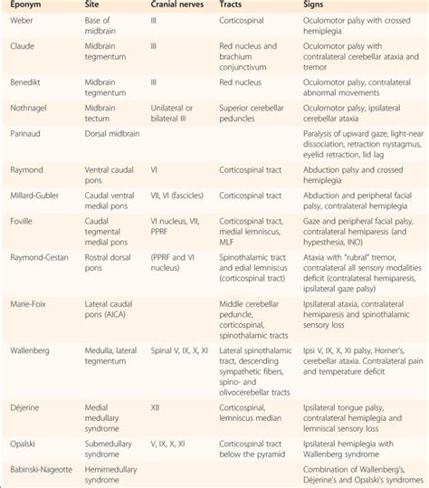 Brainstem lesions | Nervous System Disorders and Diseases articles | Body & Health Conditions ...