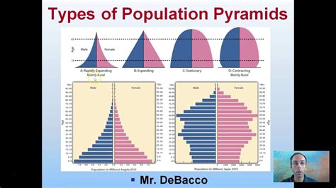 Population Pyramid