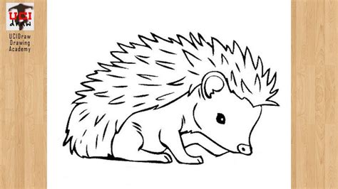 How To Draw Hedgehogs - Aimsnow7