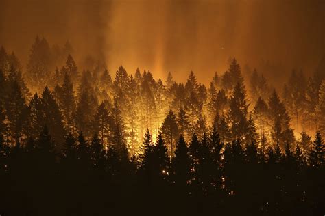 US wildfire costs exceed $2 billion, a record amid a year of extremes