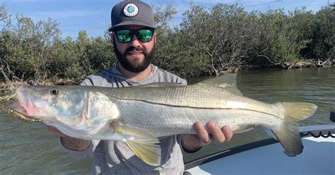 Incredible Snook Fishing – Space Coast Inshore Fishing Report