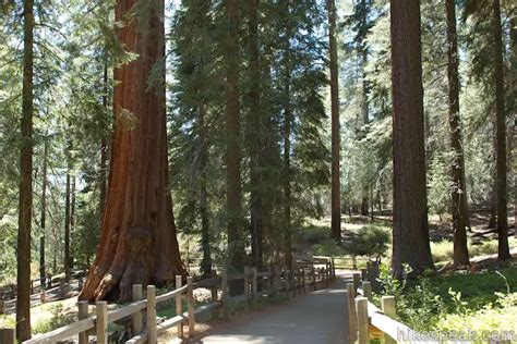 General Grant Tree Trail | Kings Canyon | Hikespeak.com