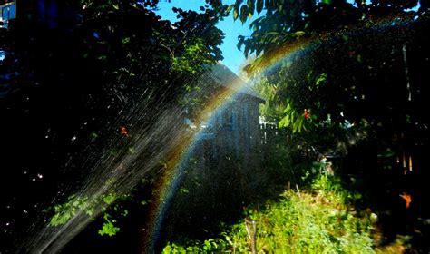 Somewhere over the rainbow | Water Sprinkling with a hose, A… | Flickr