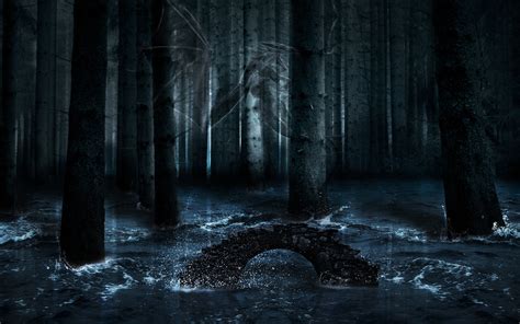 Dark Scary Forest Wallpaper - WallpaperSafari