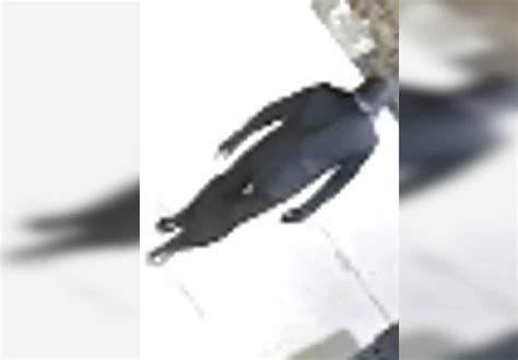 Caledon OPP searching for a ski masked suspect in a robbery | INsauga