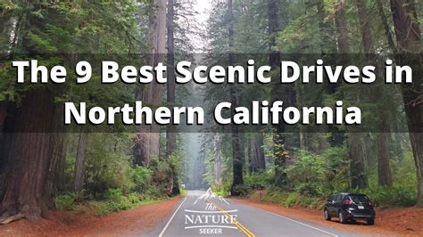 The 9 Best Scenic Drives in Northern California