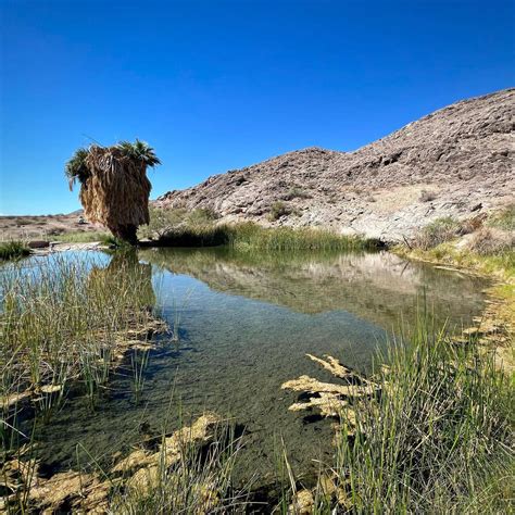 10 Best Hot Springs in Las Vegas - Mapped