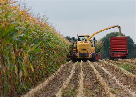 Most Valuable Crops Grown in Indiana | Stacker