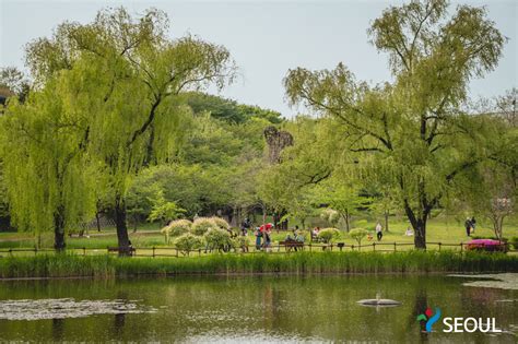 Yongsan Family Park - Seoul