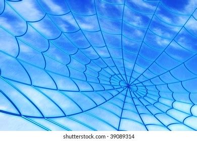 Blue Spider Images, Stock Photos & Vectors | Shutterstock