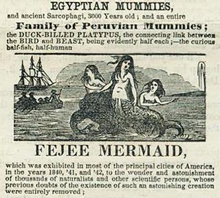 The Feejee Mermaid: Early Barnum Hoax | Live Science