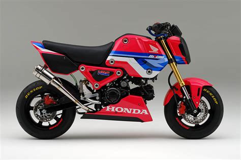 2023 Honda Grom 125 Review / Specs + Changes Explained | miniMOTO Buyer's Guide