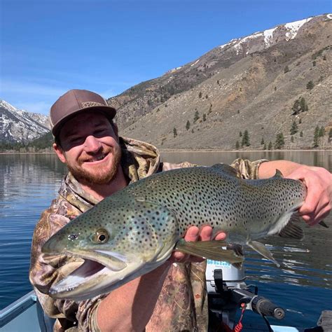 Twin Lakes (Bridgeport) Fish Report - Twin Lakes (Bridgeport) - C&R 8.75 lb. Brown - May 3, 2021