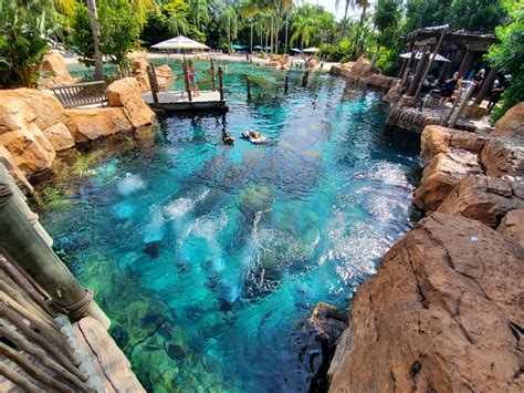 The Ultimate Guide to Discovery Cove - The Orlando Duo