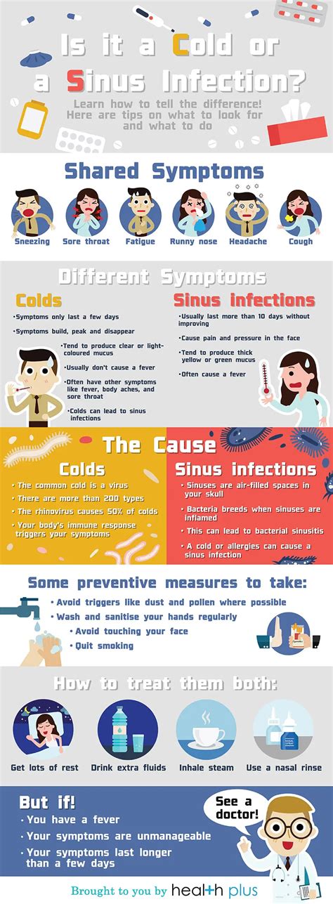 Colds vs. Sinus Infections: The Facts