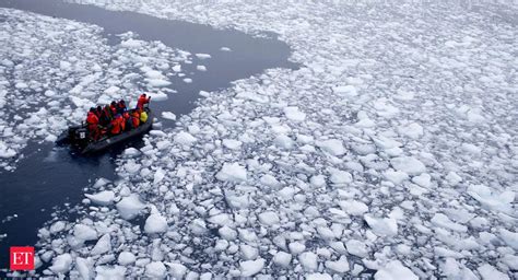 New Species Discovered: Introducing the Antarctic Strawberry Feather ...