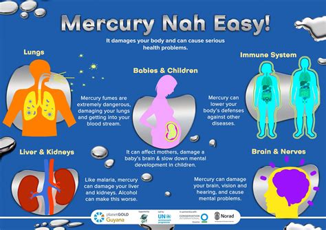 Parabara still in the dark on high mercury exposure - Stabroek News