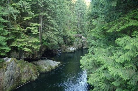 Capilano Suspension Bridge