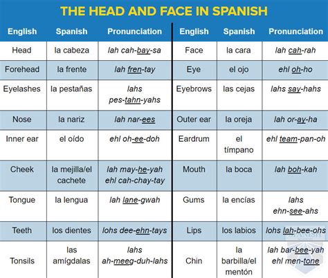 Spanish Body Parts: Vocabulary and Practical Implementation