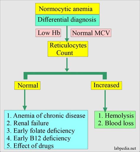 Anemia:- Part 1 – Anemia Classification, Diagnosis, and Routine Work up ...