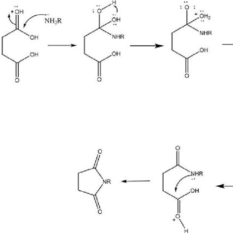 (PDF) Simple and efficient synthesis of N-alkyl and N-aryl succinimides in hot water