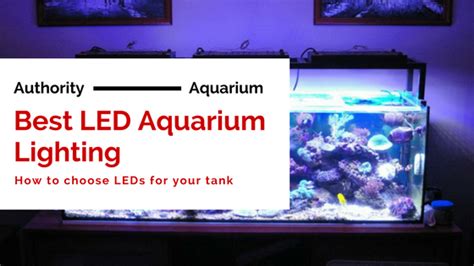 10 Best Led Aquarium Lights Reviews