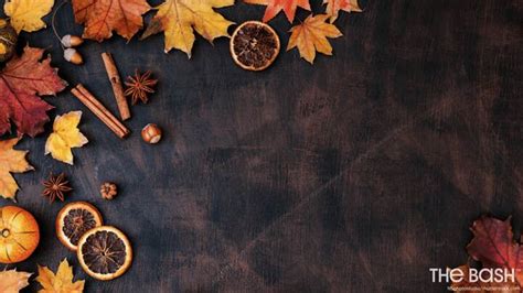 Get Cozy with 35 Autumn-Inspired Thanksgiving Zoom Backgrounds - SESO OPEN