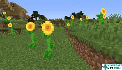 How to make Sunflower in Minecraft | Minecraft-Max.com